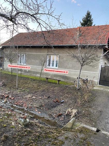 Vand sau schimb, 1439 mp, sat Bodo - 8