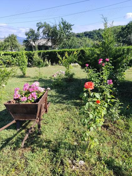 Vand pensiune, casa de vacan?a - 1