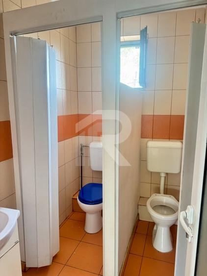 Spatiu comercial/birouri de inchiriere, P+1+M, 260 mp, deschidere dubla, curte - 15