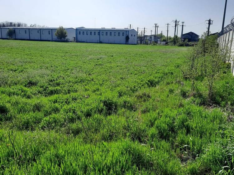 FARA COMISIOANE in Joita aproape de drumul asfaltat teren de 4600mp merita vazut - 1