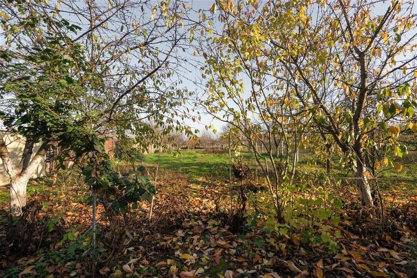 Reco, casa gepiu - 13