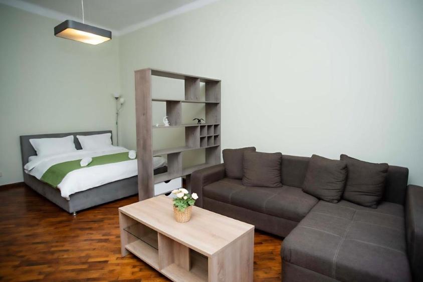 Ultracentral - Apartament 1 camera, Palatul Victoria, Piata Operei - 6