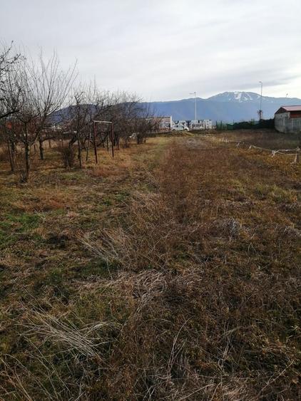 Teren intravilan Ghimbav - 3