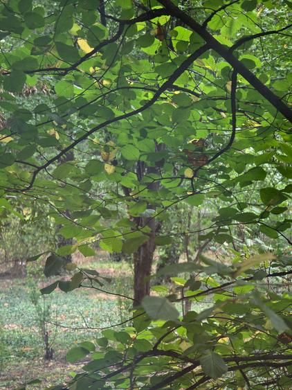 2 camere bloc rusesc Drumul Taberei - Afi Cotroceni parter - 22