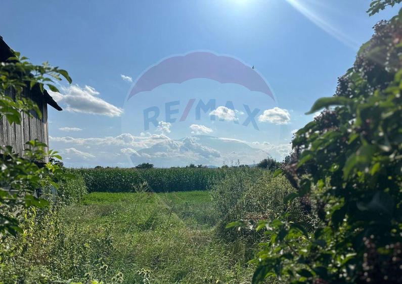 Teren intravilan 3.765 mp cu casa Bode?ti de Jos - 3
