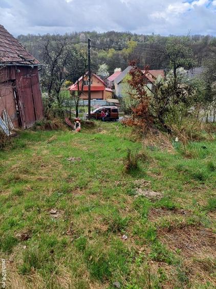 20 de arii si 2 case in Fi?cau - 4