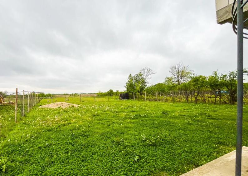 Casa Bradu Arges - 10