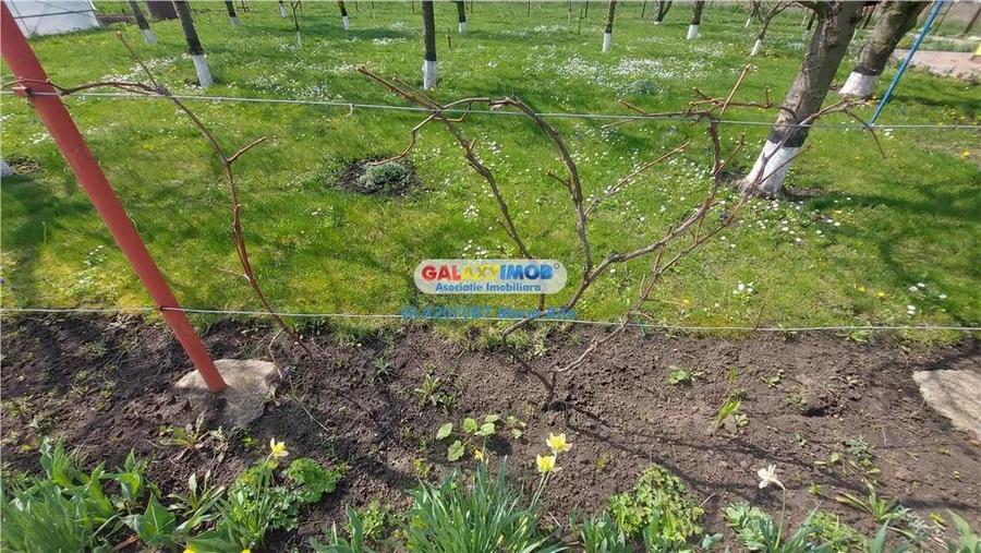 Casa cu teren 800 mp., la pret de apartament, Catamarasti Deal! - 3