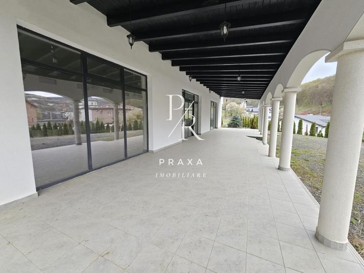 EXCLUSIVITATE! Restaurant de vanzare, Mobilat/Utiliat, 565 mp,cu teren 5.000 mp! - 7