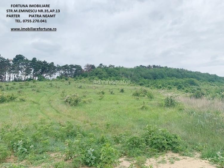 Teren zona Pietricica, cadru natural superb