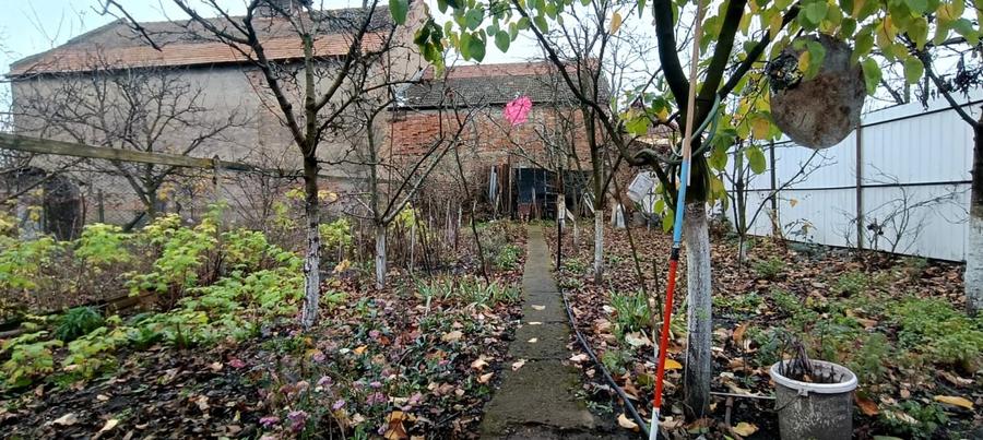 Casa cu gradina langa Cetatea Harman - 3