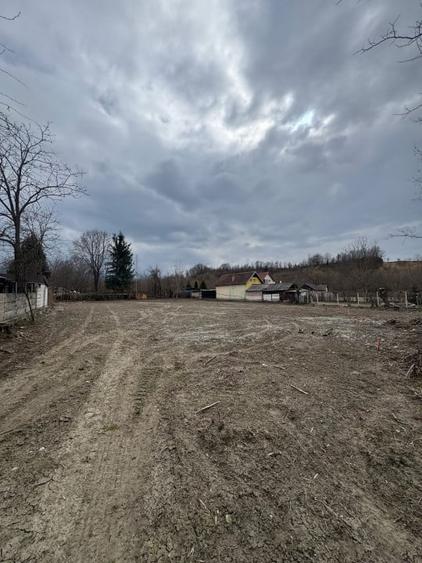 Teren Intravilan - parcelabil - 1.450 mp - Valea Avrigului - 1