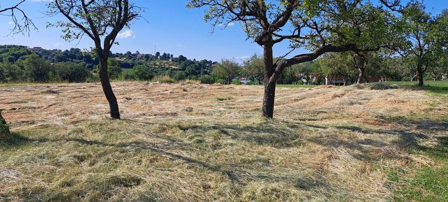 Teren intravilan 2100 mp Feleacu - 7