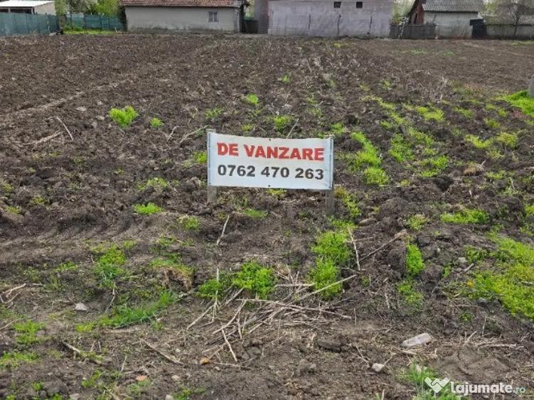 Teren intravilan 1000mp Movilita 40 km de Bucuresti - 3