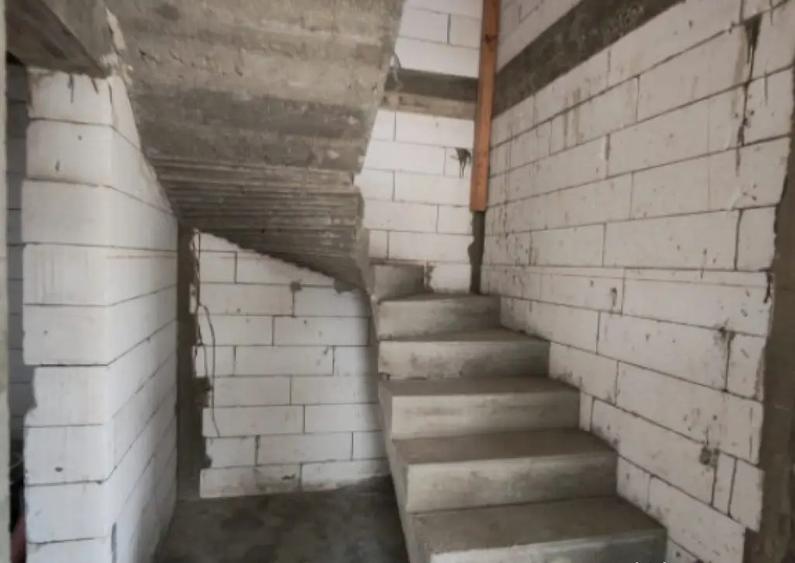 Casa Malu Mare - Capsunarie - Damila - 3