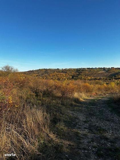Teren intravilan langa lacul Hanul Pescarilor - 1