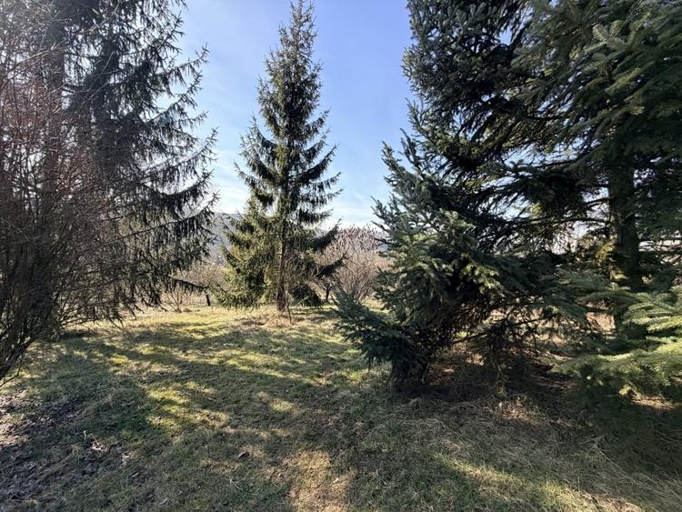 Refugiu Exclusivist Prahova Casa cu 5.2 ha, Panoramă Pârâu și Potențial Turistic - 40