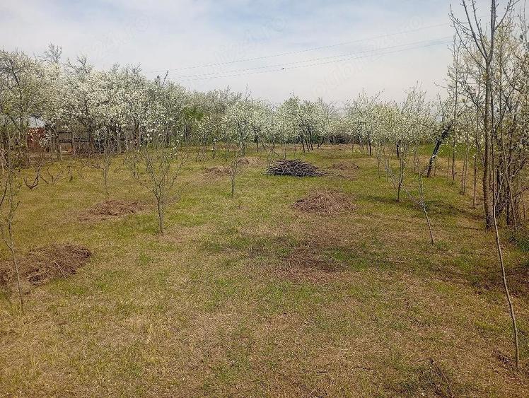 vnd casa la rosu - 6