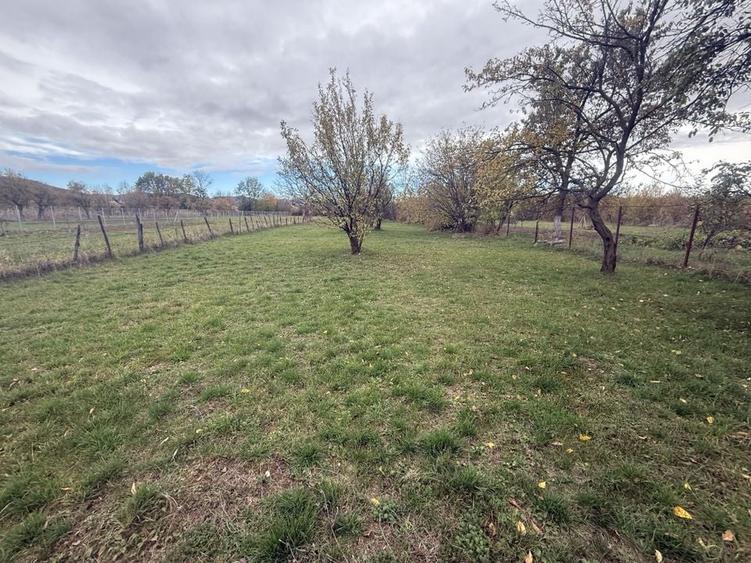 Teren intravilan împrejmuit 2331 mp la strada, toate utilitățile! - 5