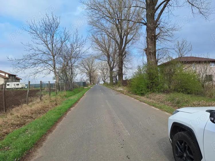Sinesti-Livedea vanzare teren intravilan - 4