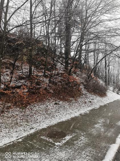 Teren intravilan situat in Busteni - 9