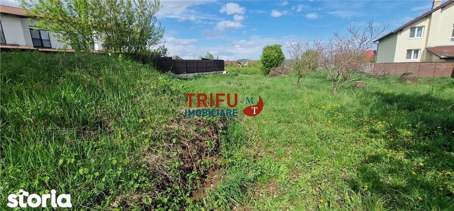 Teren de vanzare zona Micesti - 7