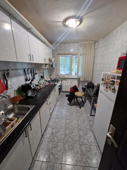 Obor, Teiul Doamnei, Maica Domnului, str. Grigore Ionescu