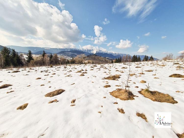 Teren De Vanzare In Sirnea - 5