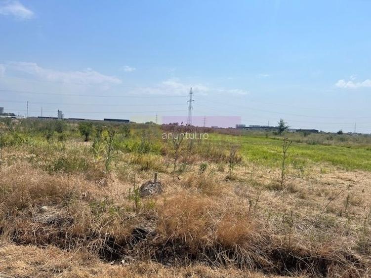 Teren Domnesti- Fortului