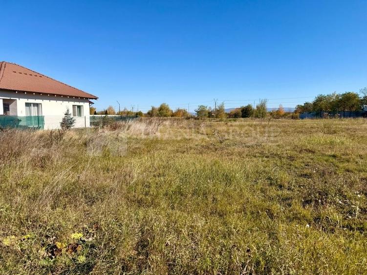 Teren intravilan, PUZ aprobat, 800 mp, Fish4Life - Harman, Brasov - 6