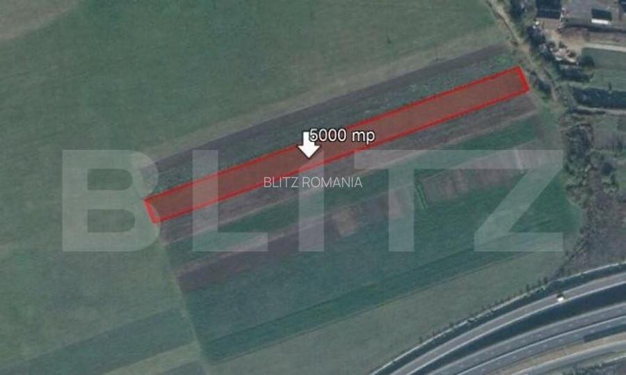 Teren de 5000 mp, Stupini