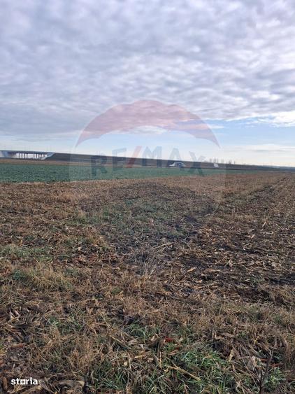 Teren intravilan 3400mp de vanzare la Santion - 4