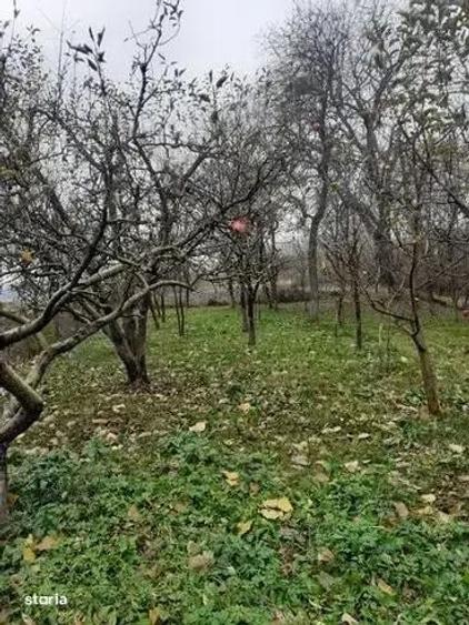 Casa + Teren Vanzare - Rediu, Judetul Cluj - 1