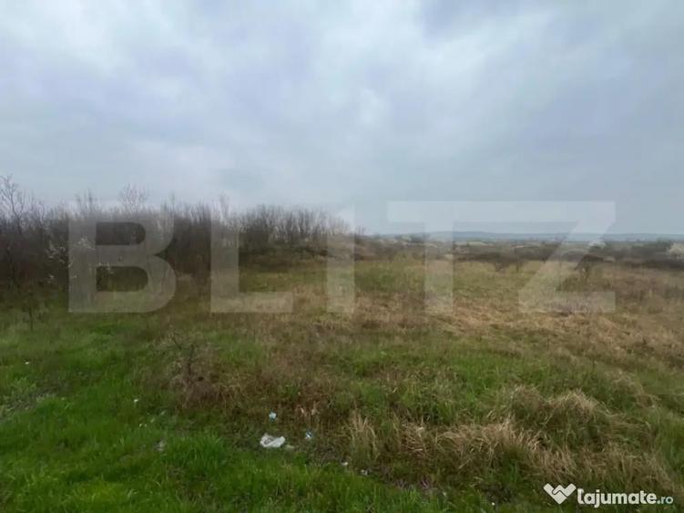 Teren intravilan, 4650mp, stradal DE, Sere Isalnita - 1