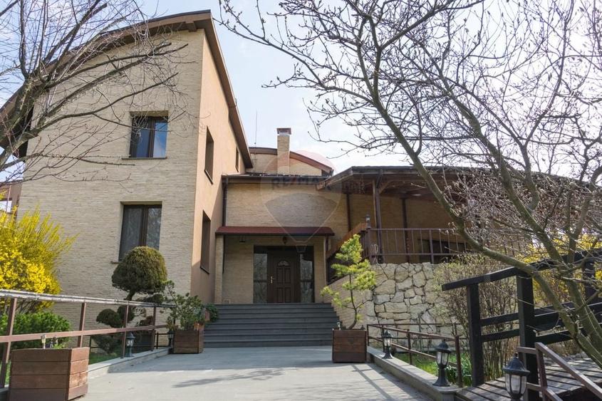 Vilă spectaculoasă de vânzare în Făget - 1