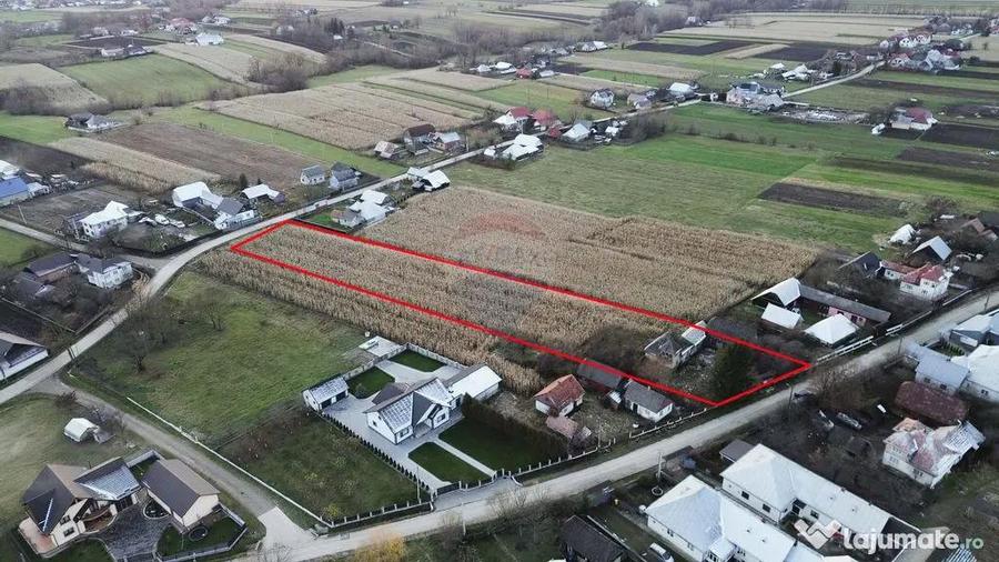 Casa de vanzare in Com Fratautii Noi - 5