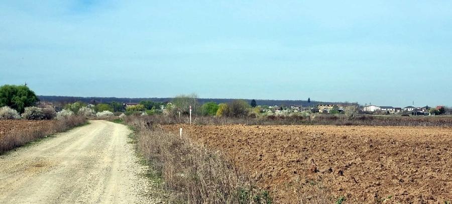 „Corbeanca – aer curat, potențial mare, preț competitiv. 3 loturi cu viitor.” - 3