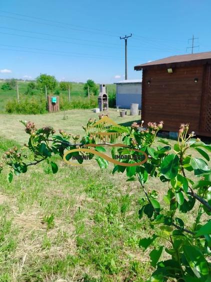 Teren cu Zonă Intravilană, Bacau-Lilieci, 1200 mp - 3