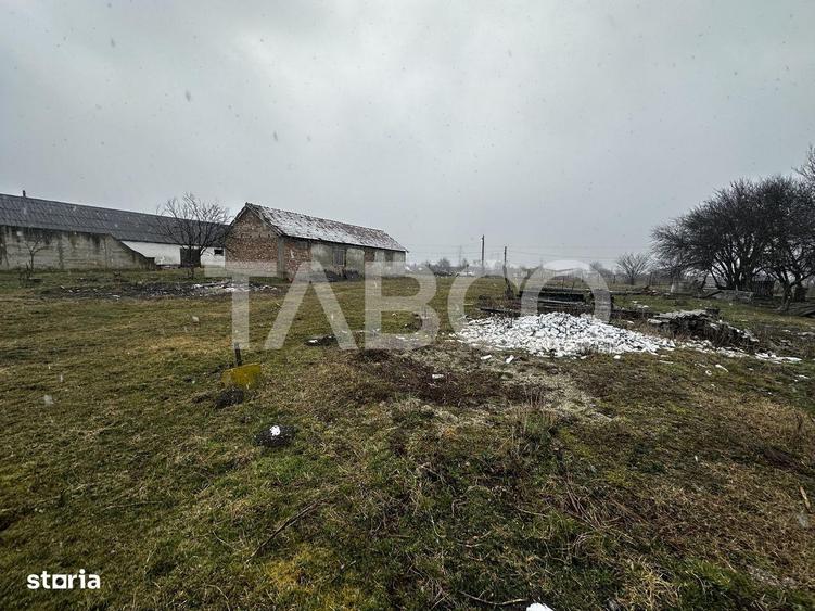 Teren de vanzare 8380 mp cu anexa de 1538 mp in Mohu - 4