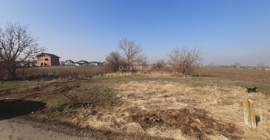Teren investitie Ilfov