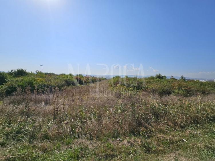 Teren intravilan industrial de vanzare in Someseni, Cluj Napoca - 3