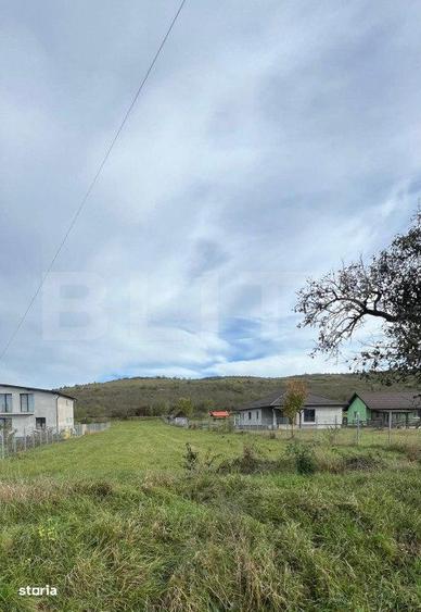 Teren de Vanzare, foarte aproape de Crama Jelna - 4