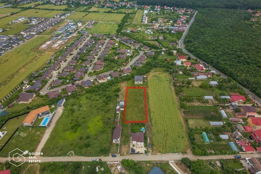 Teren construibil Balotesti, Str. Orhideelor, 1240 mp - 6