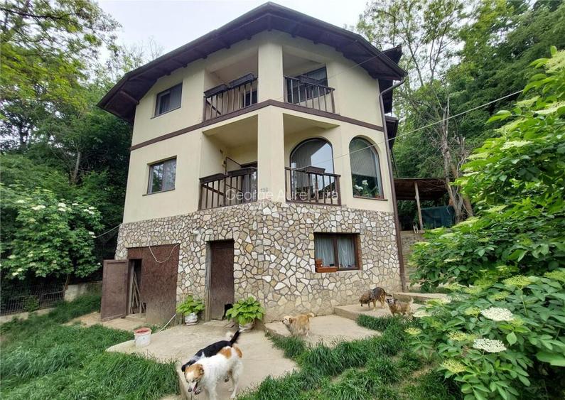 Casa tip D P 1, SISTEM AMVIC, teren 1000 mp, Sarata Monteoru