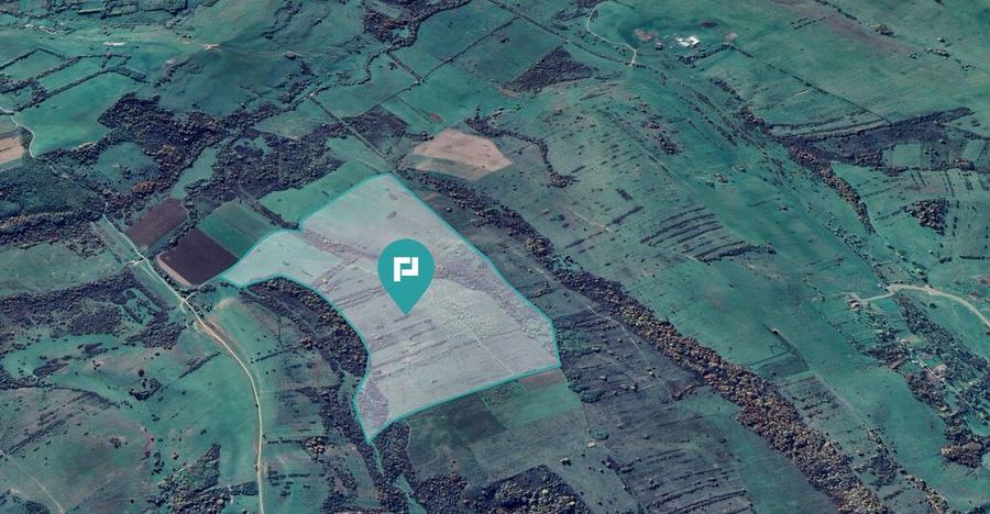 Teren arabil de 87 hectare in Bara, Timi? - 3