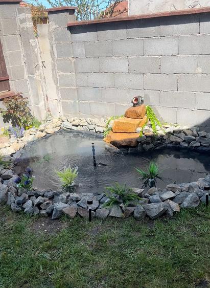 Propietar,vand casa in Sacalaz - 8