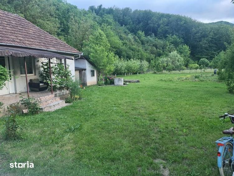 Vand casa cu gradina - 2