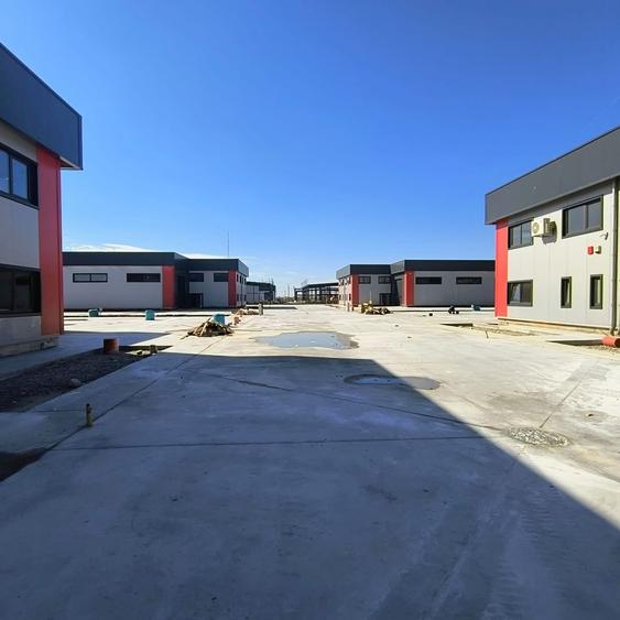 Complex hale ( 8 bucati ) noi 2025 Domnesti - Centura Bucuresti - 2