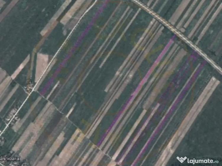 Teren Autostrada A1 24ha pentru balastiera - 6