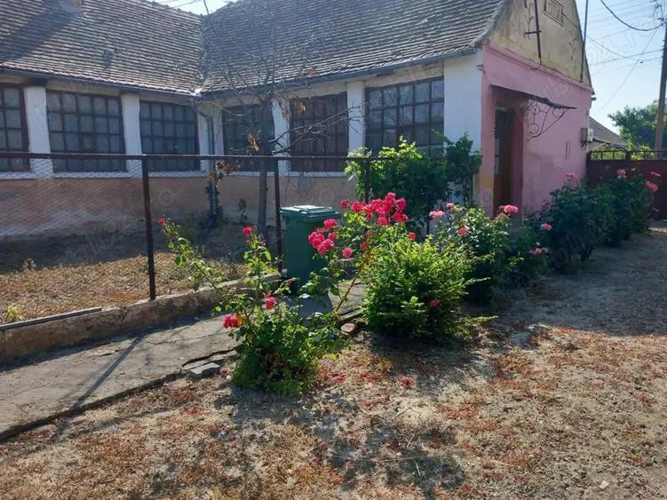 Casa batraneasca cu teren generos 2877 mp in satul Brestea (comuna Denta, jude?ul Timi?) - 3